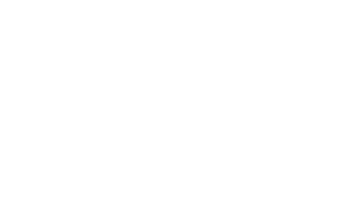 LOGO-DEBIC