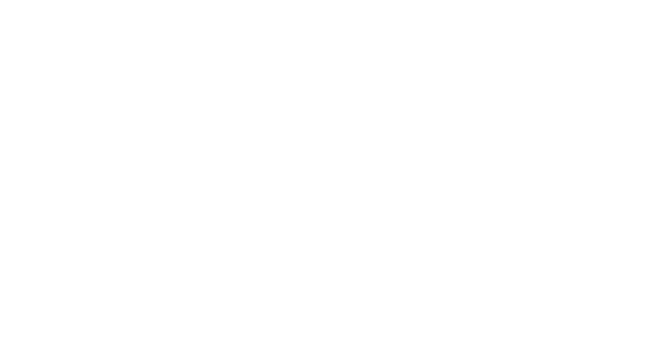 LOGO-EFFY